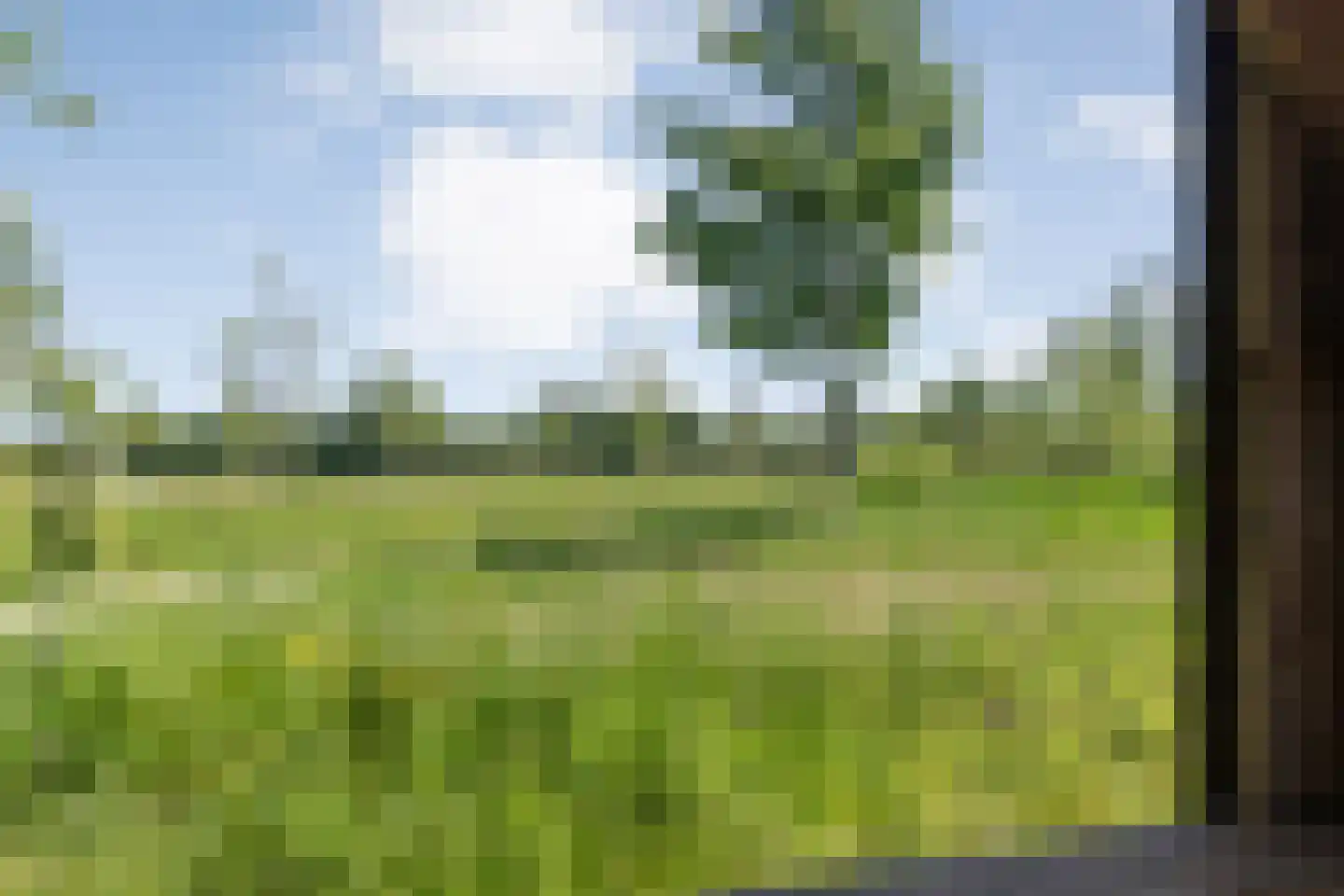 Nijeveenseweg 76 Meppel thumbnail 50