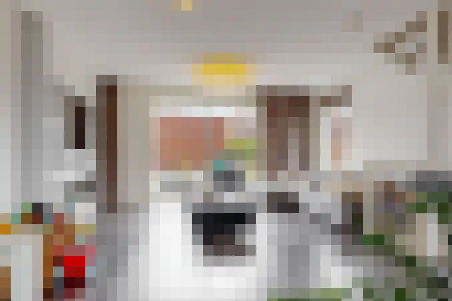 Nijeveenstraat 24 Den Haag thumbnail 19