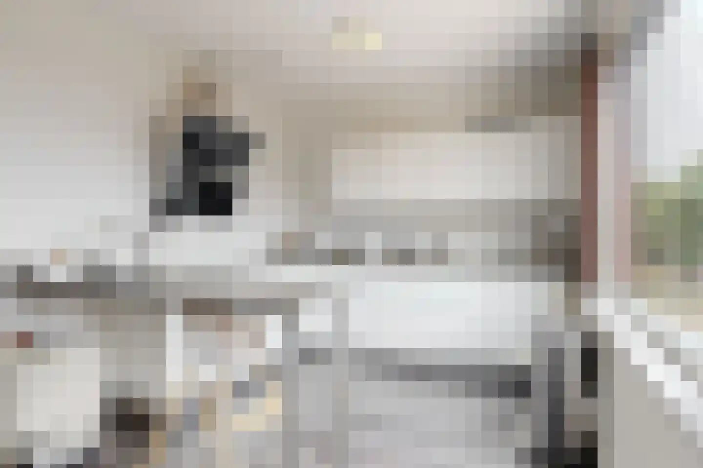 Nijeveenstraat 24 Den Haag thumbnail 22