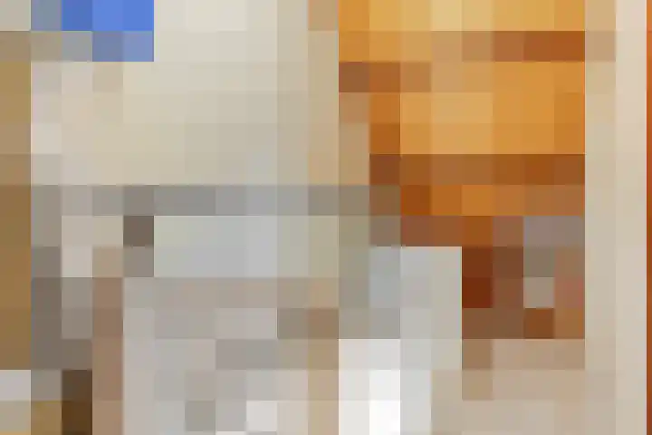 Nijeveld 37 Ede thumbnail 32