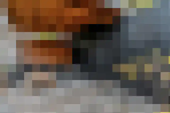Nijeveld 37 Ede thumbnail 38