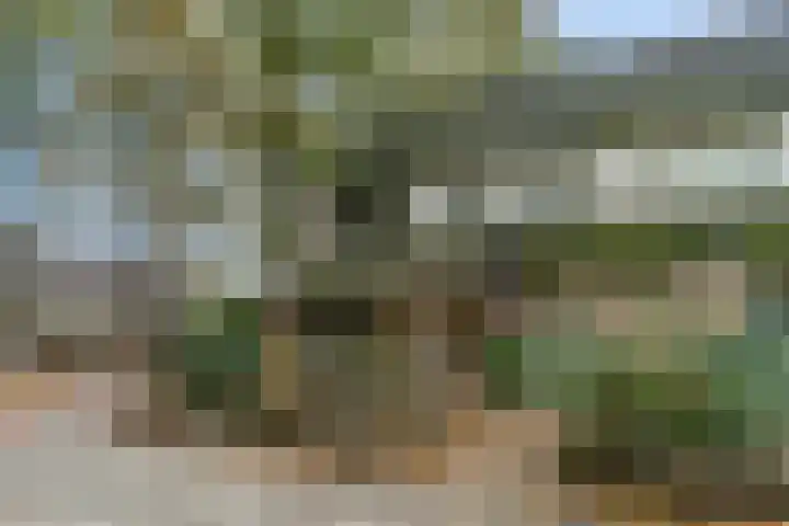 Nijeveld 37 Ede thumbnail 41