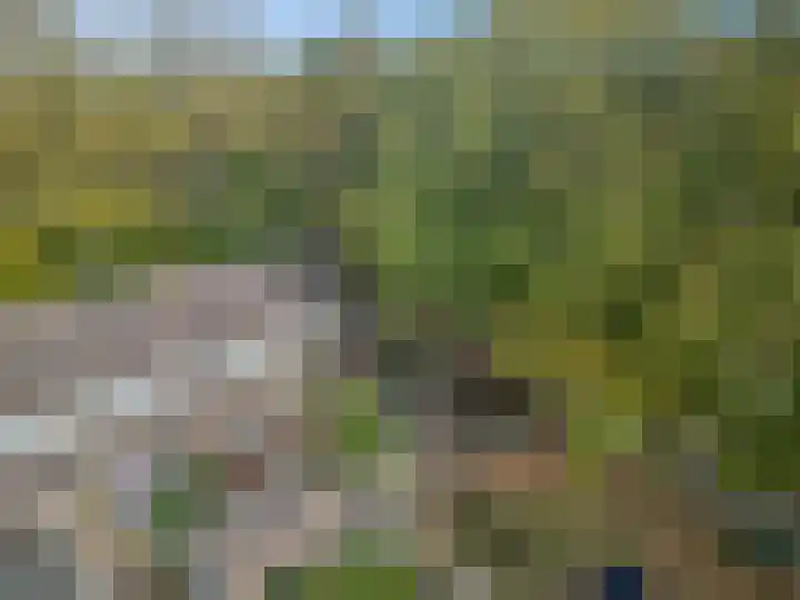 Nijeveld 37 Ede thumbnail 49