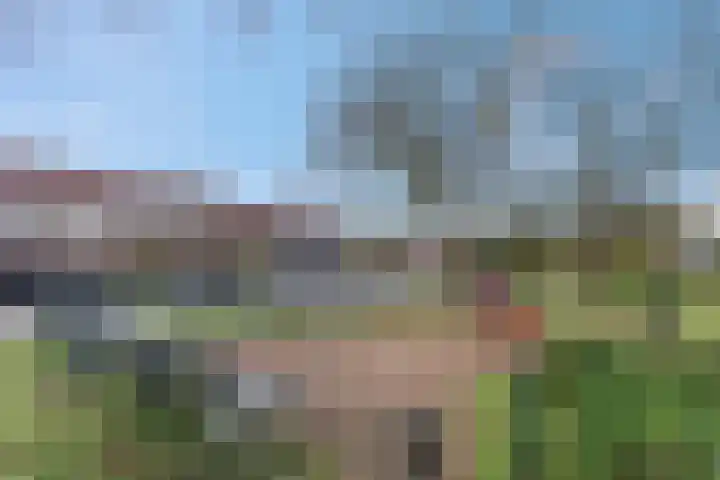 Nijeveld 37 Ede thumbnail 51