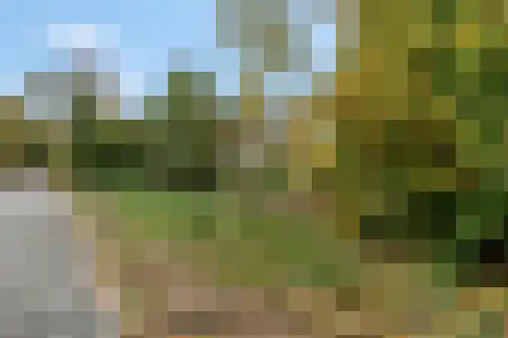 Nijeveld 37 Ede thumbnail 52