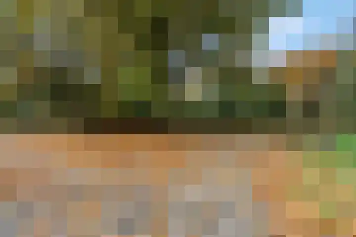 Nijeveld 37 Ede thumbnail 55