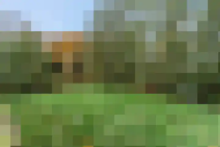 Nijeveld 37 Ede thumbnail 56