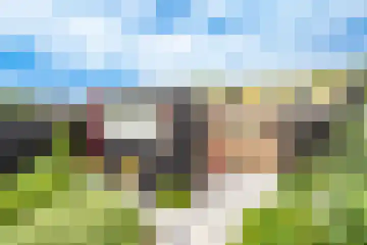 Nijeveldsingel 50 Utrecht thumbnail 32