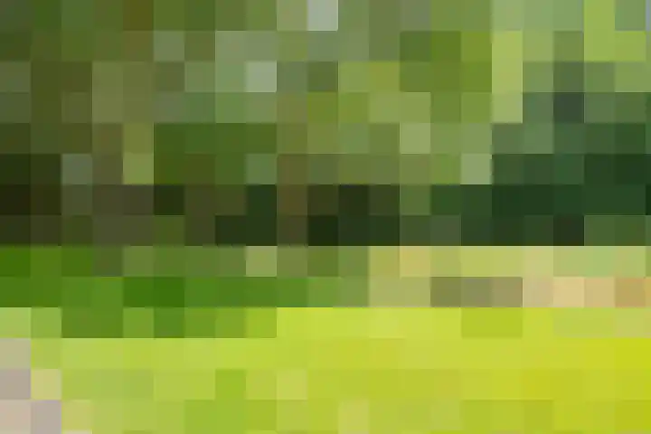 Nijeveldsingel 50 Utrecht thumbnail 35