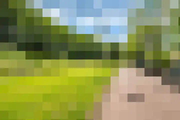Nijeveldsingel 50 Utrecht thumbnail 36
