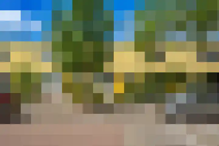 Nijeveldsingel 50 Utrecht thumbnail 38