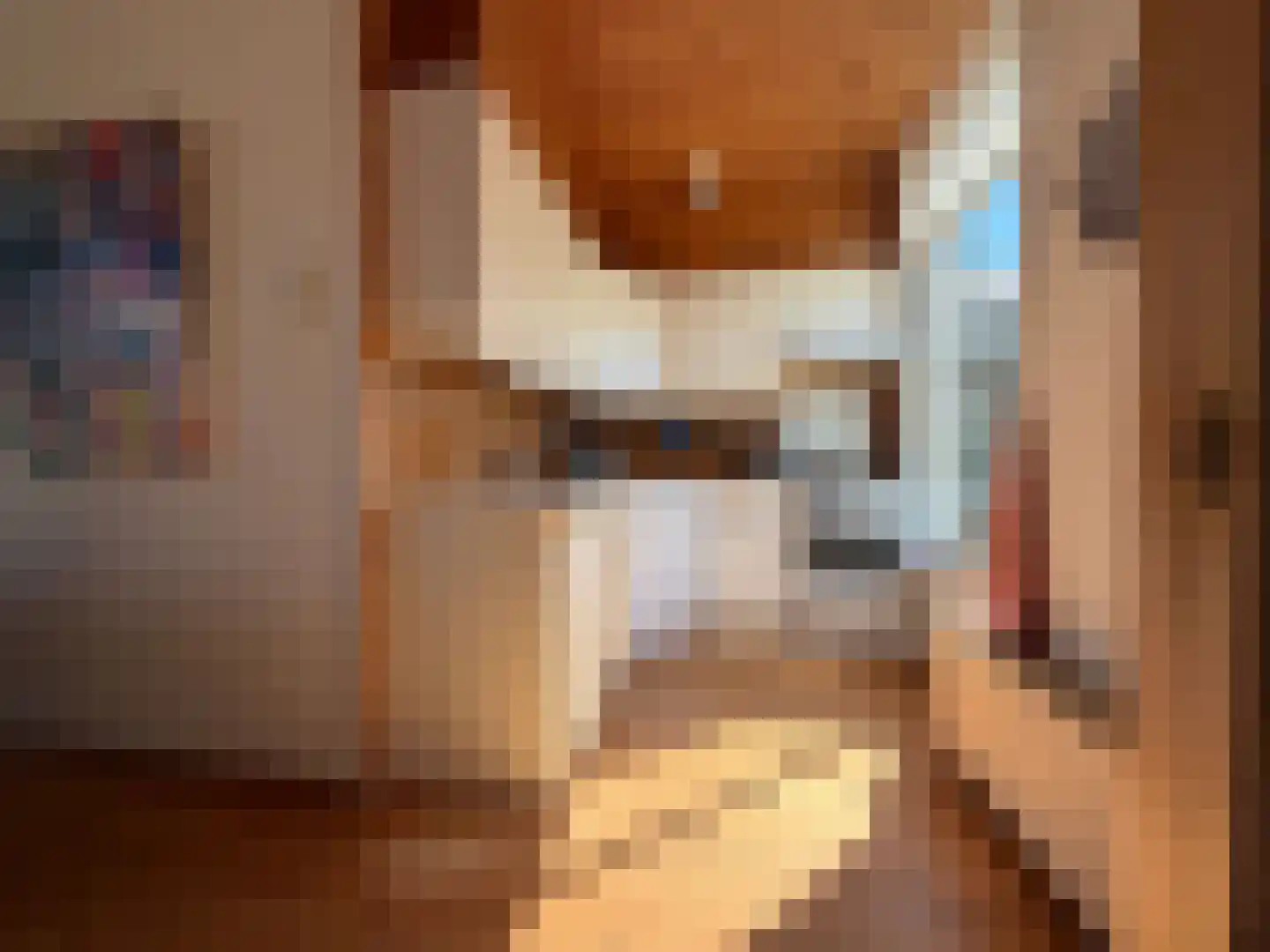 Nijewâl 22 Heeg thumbnail 12