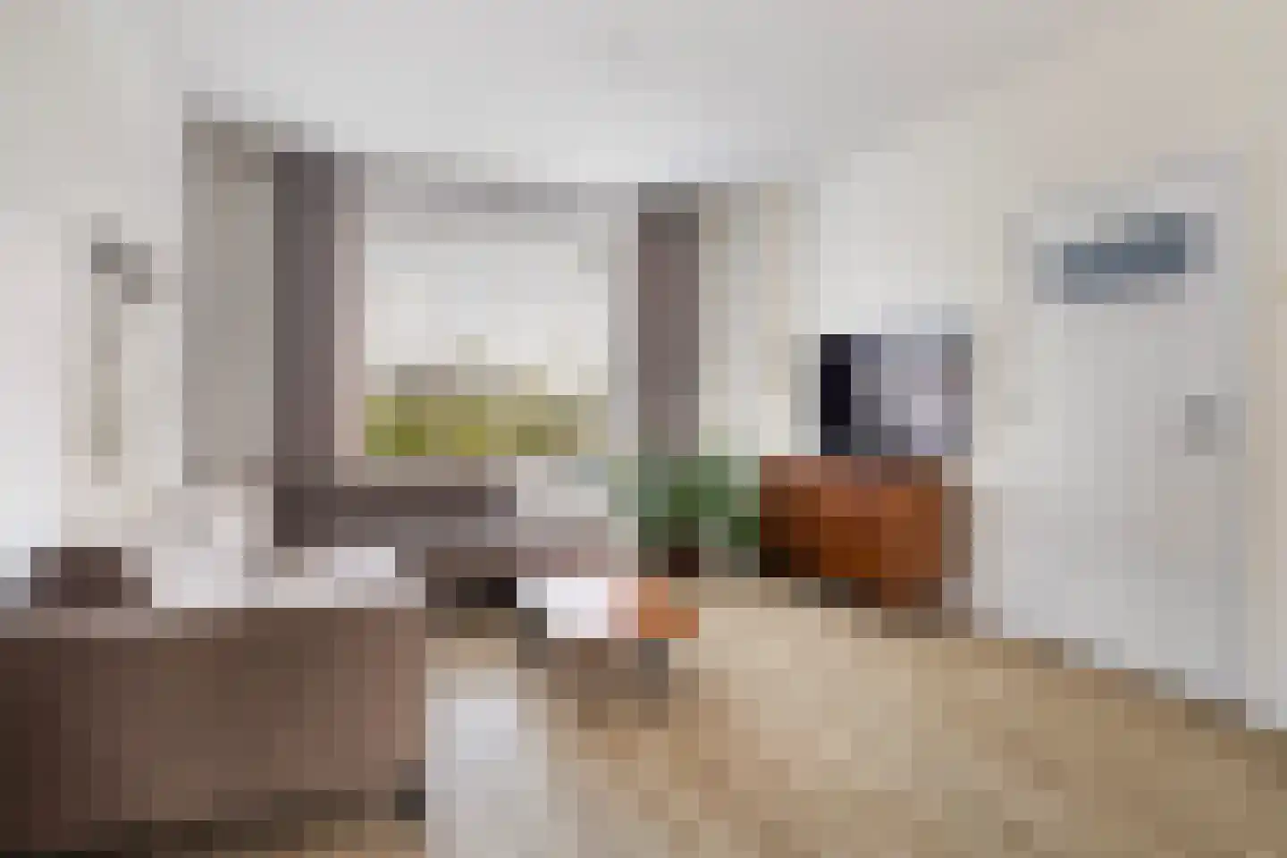 Nijewei 12 Damwâld thumbnail 14
