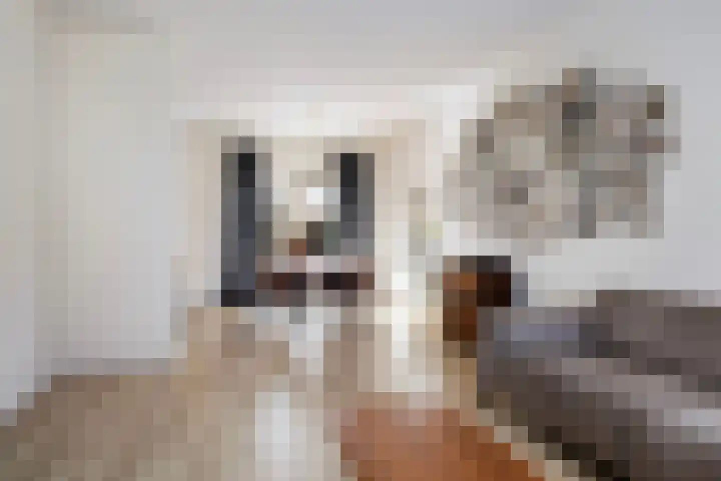 Nijewei 12 Damwâld thumbnail 15