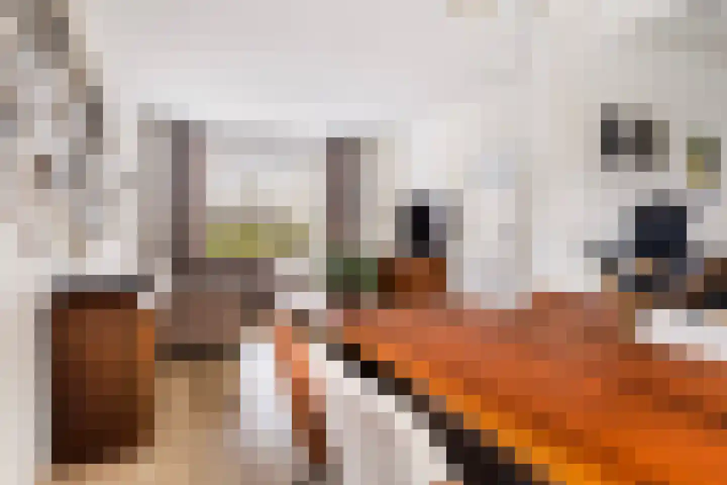 Nijewei 12 Damwâld thumbnail 17