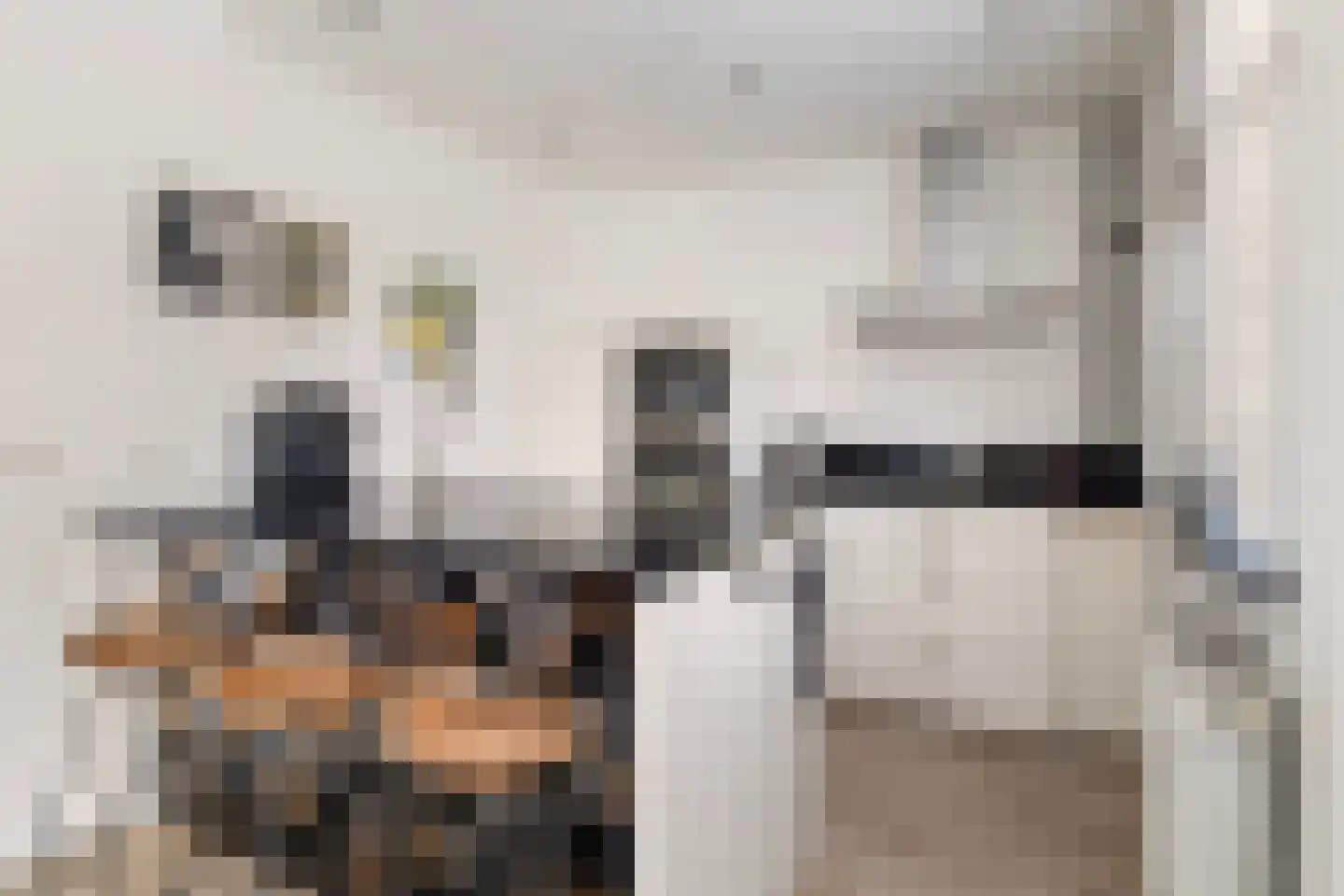 Nijewei 12 Damwâld thumbnail 19