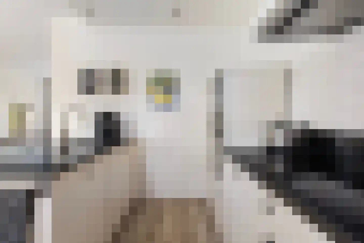 Nijewei 12 Damwâld thumbnail 21