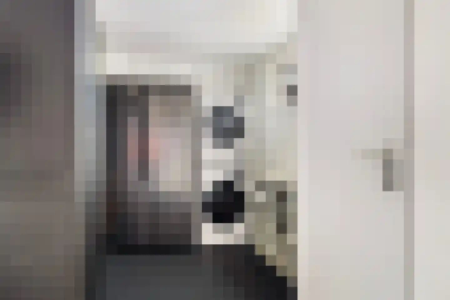 Nijewei 12 Damwâld thumbnail 23