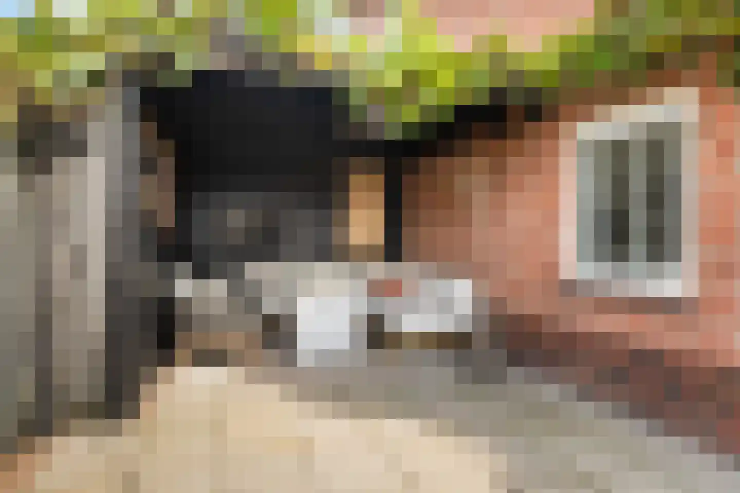 Nijewei 12 Damwâld thumbnail 26