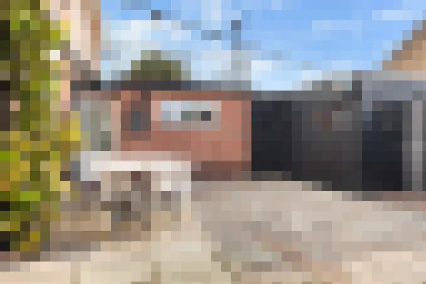 Nijewei 12 Damwâld thumbnail 28