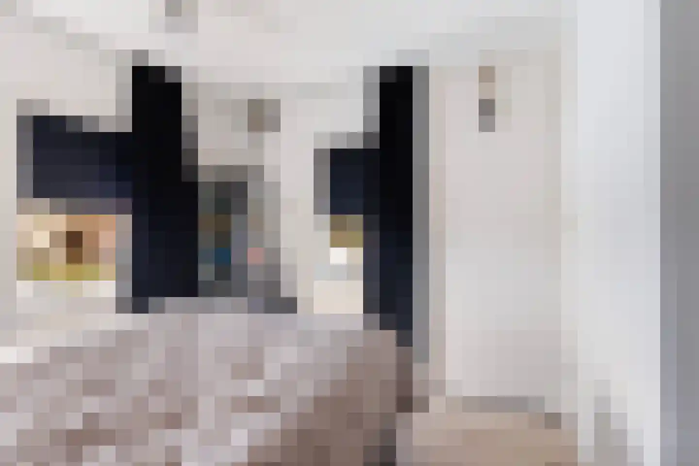 Nijewei 12 Damwâld thumbnail 33