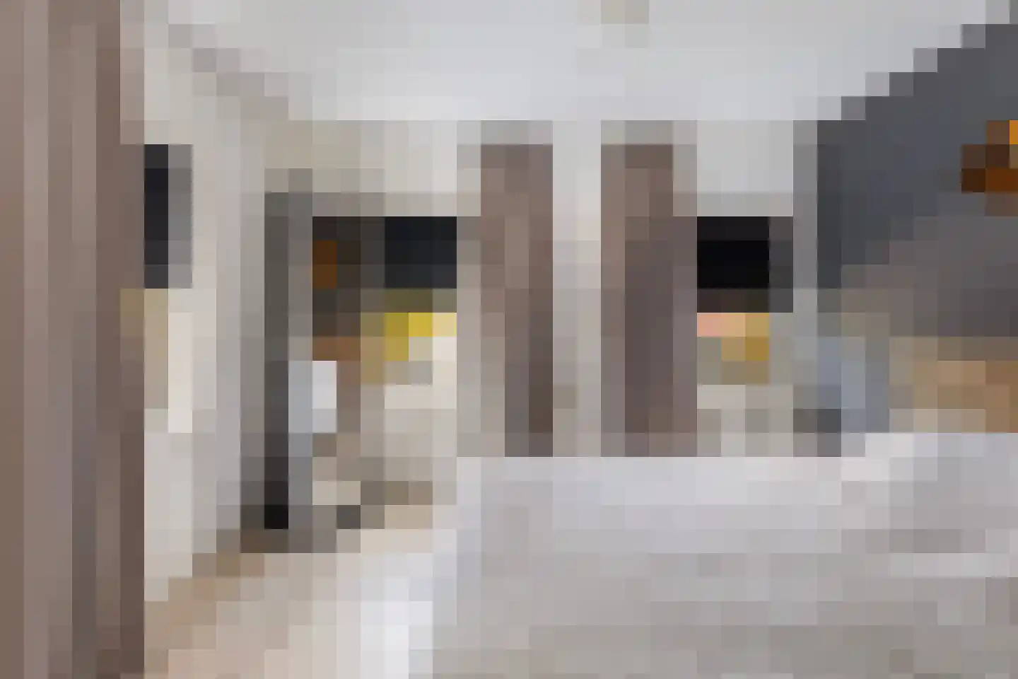 Nijewei 12 Damwâld thumbnail 35