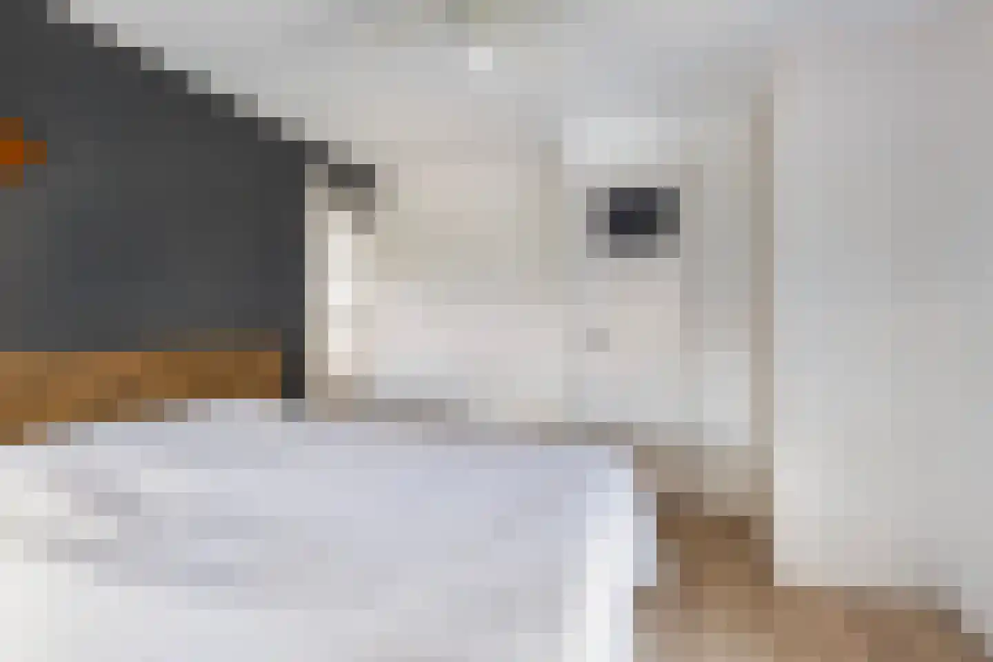 Nijewei 12 Damwâld thumbnail 36