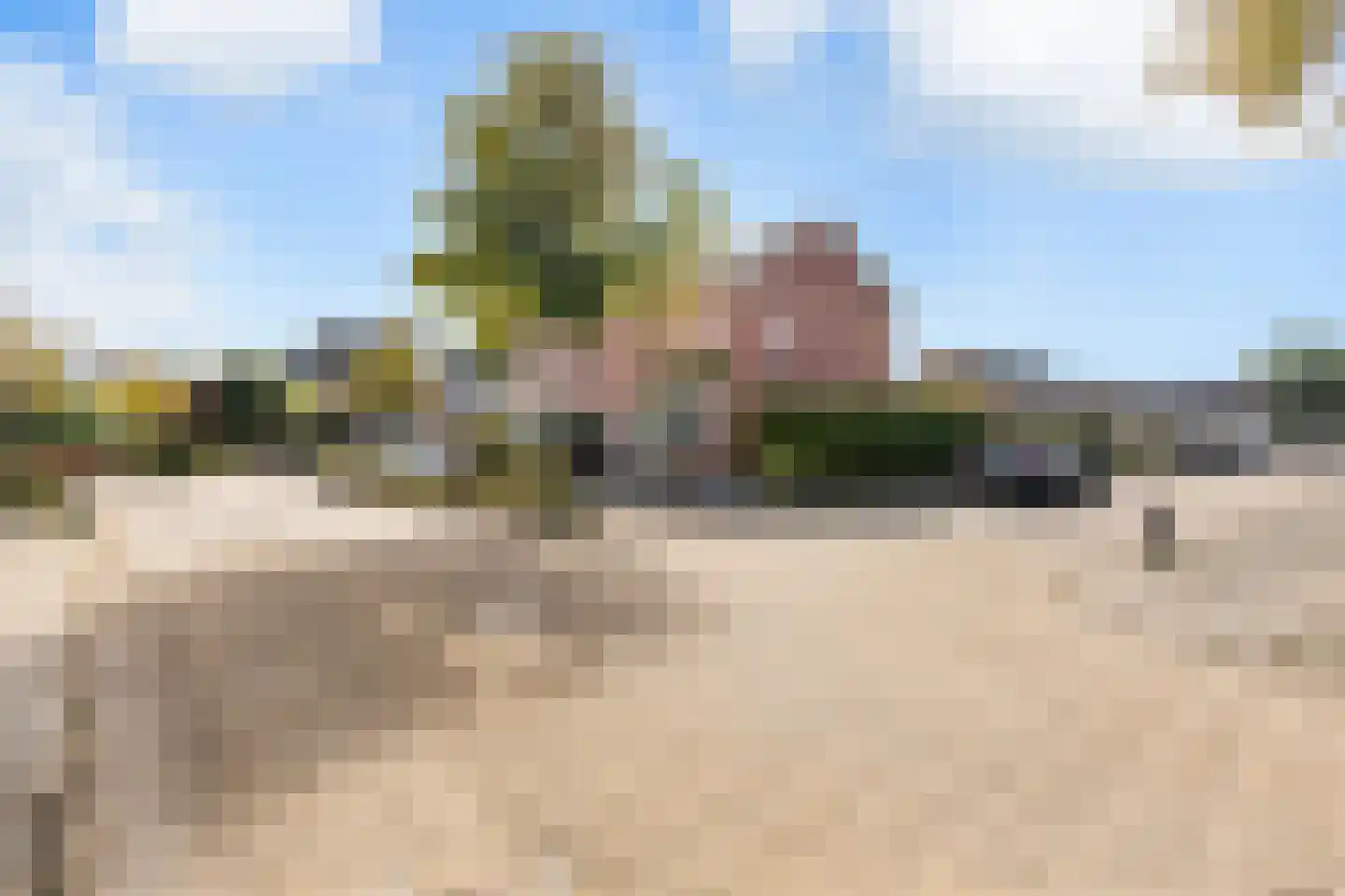Nijewei 12 Damwâld thumbnail 6