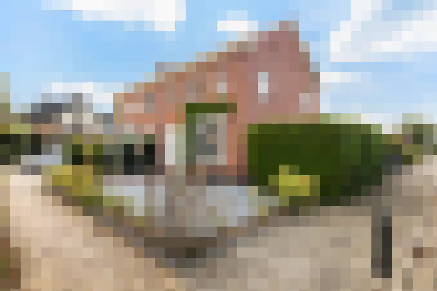 Nijewei 12 Damwâld thumbnail 7