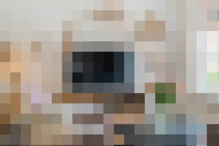 Nijewei 15 Driezum thumbnail 12