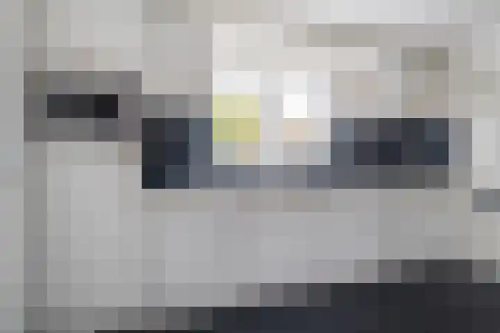 Nijewei 15 Driezum thumbnail 19