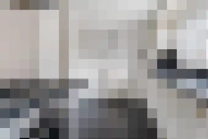 Nijewei 15 Driezum thumbnail 21