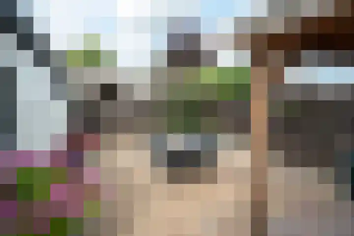 Nijewei 15 Driezum thumbnail 38