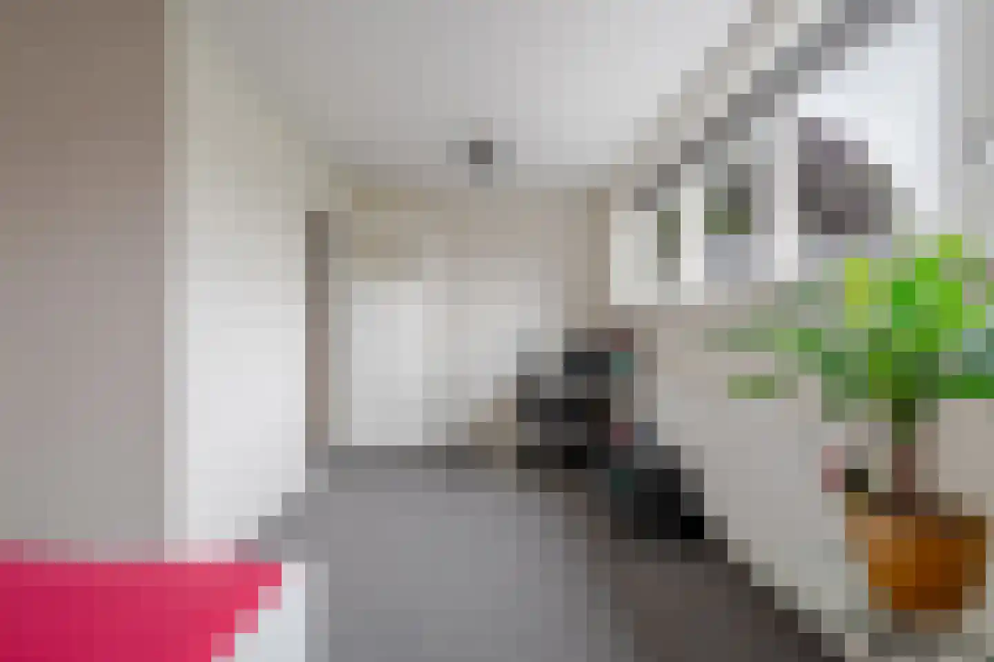 Nijewei 2 Gorredijk thumbnail 24