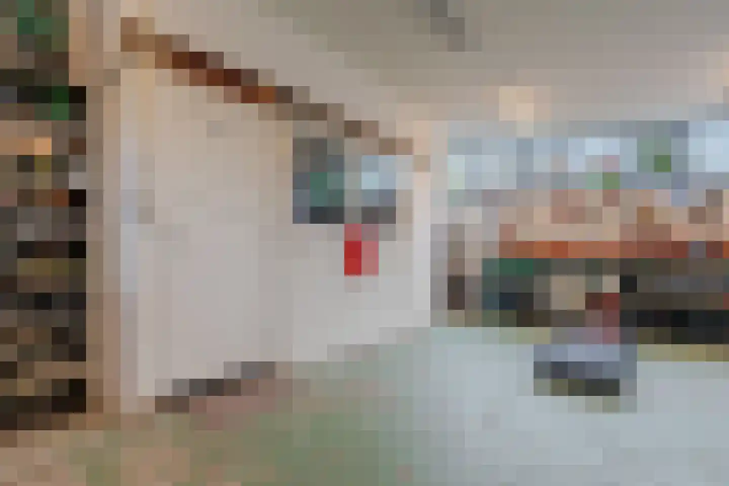 Nijewei 2 Gorredijk thumbnail 27