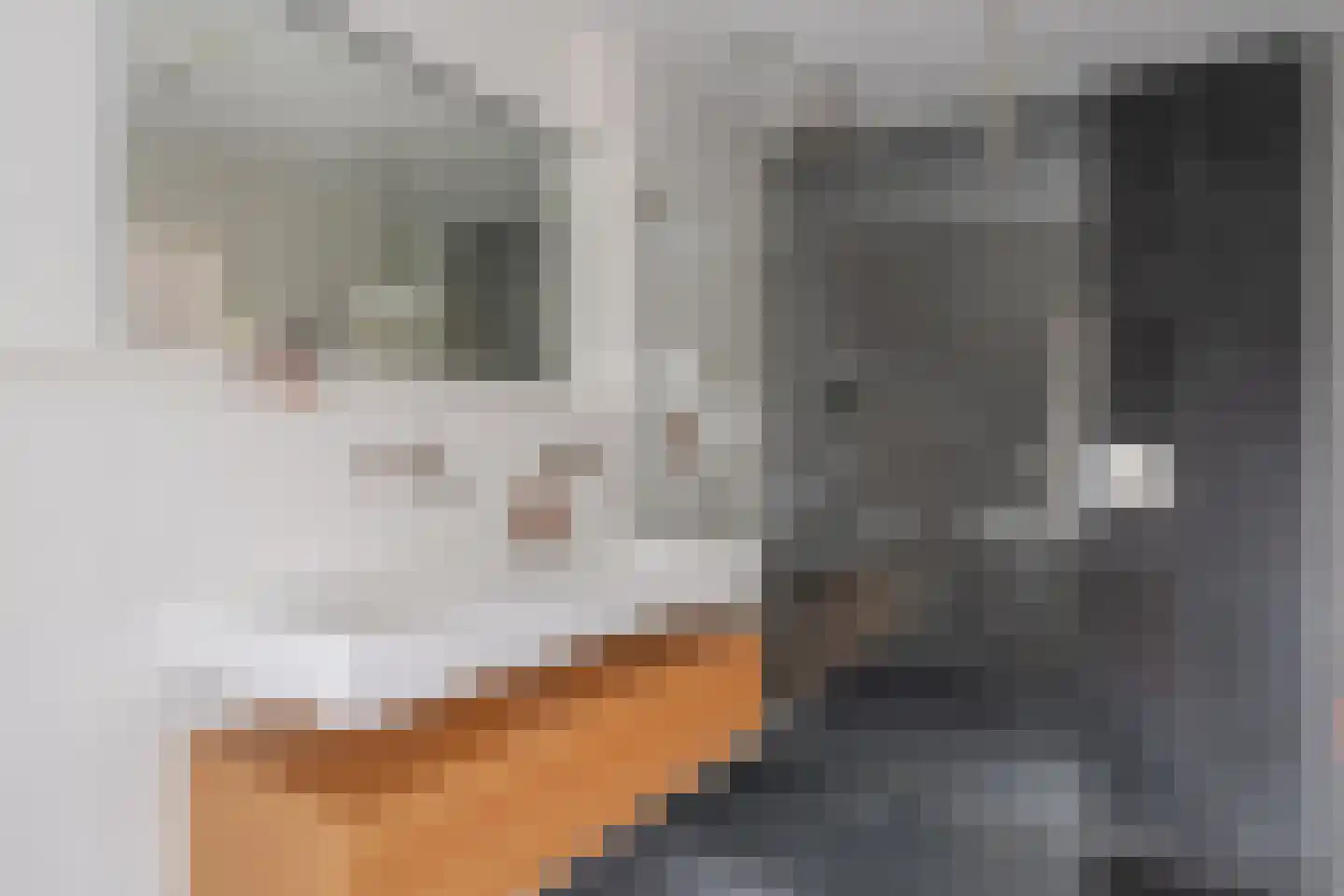Nijewei 2 Gorredijk thumbnail 38