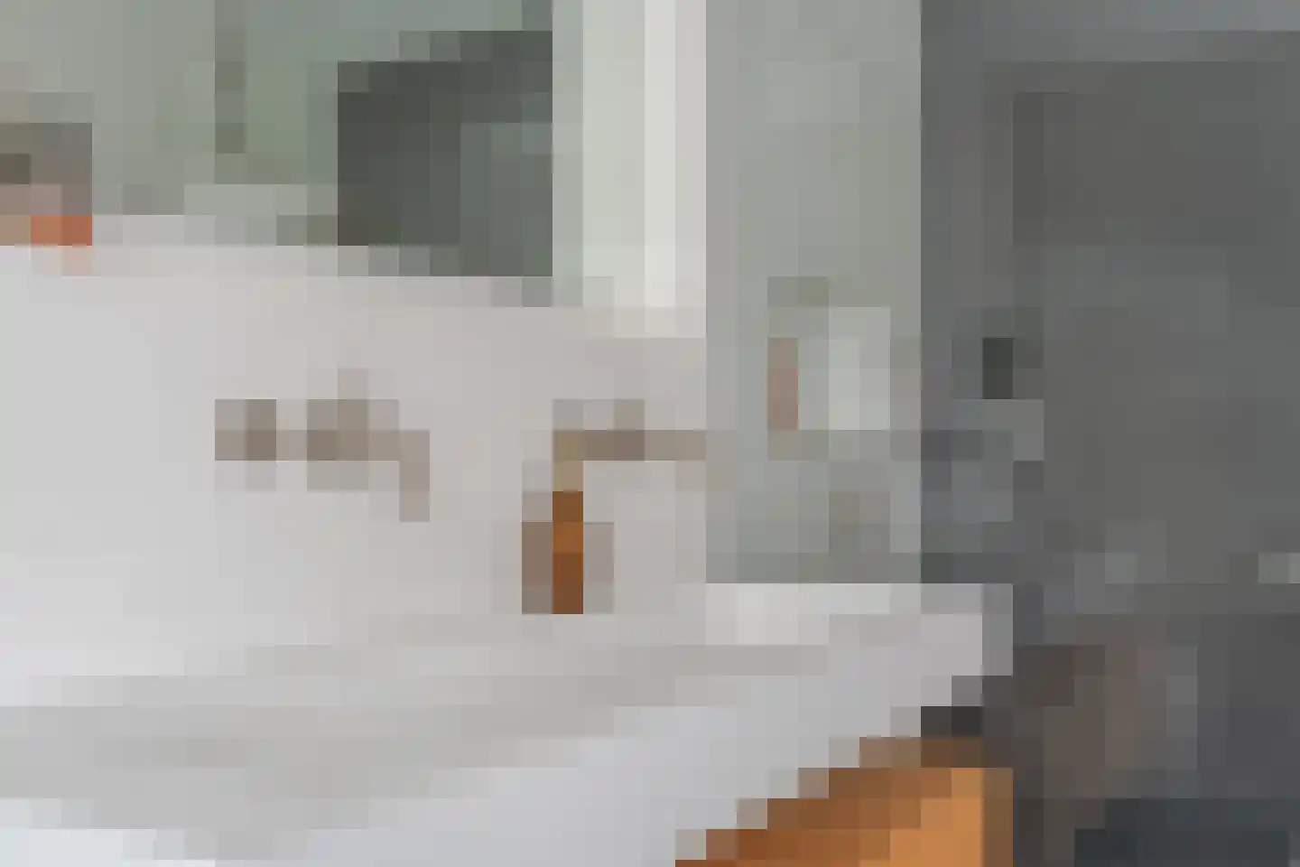 Nijewei 2 Gorredijk thumbnail 40