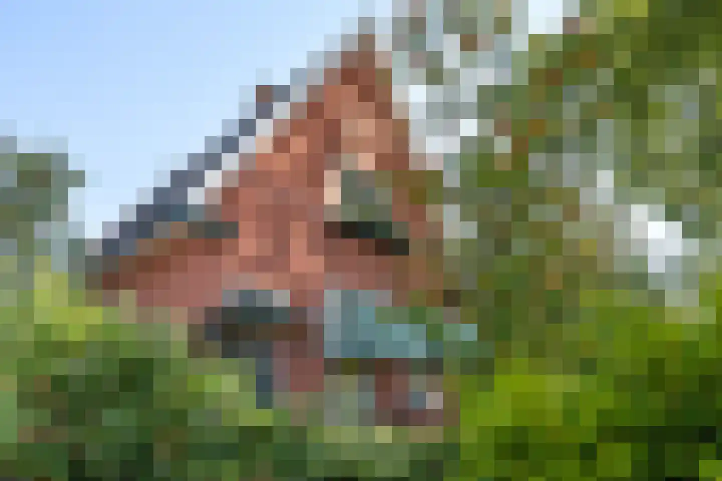 Nijewei 20 Feanwâlden thumbnail 10
