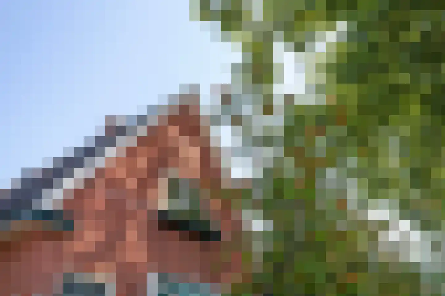 Nijewei 20 Feanwâlden thumbnail 11