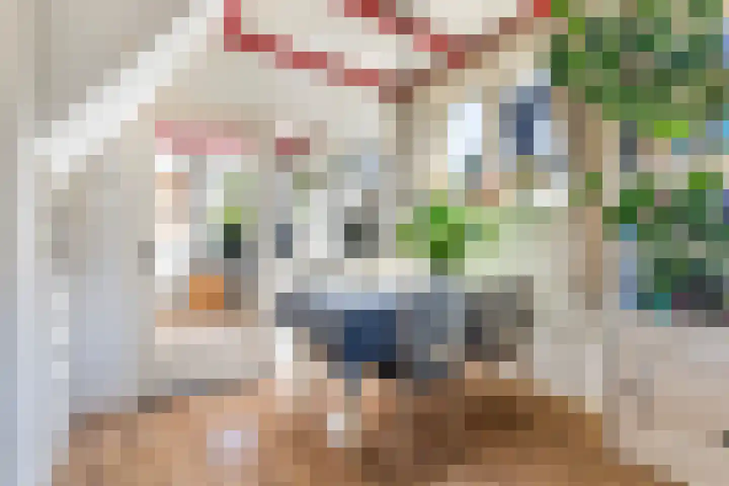 Nijewei 20 Feanwâlden thumbnail 18