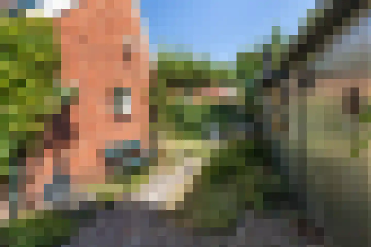 Nijewei 20 Feanwâlden thumbnail 35