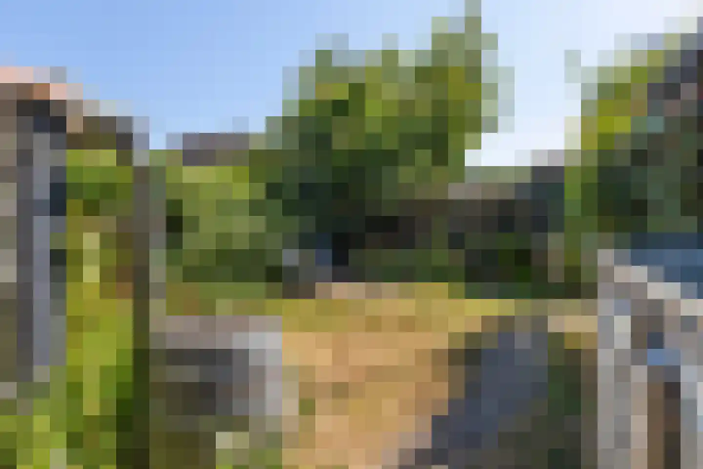 Nijewei 20 Feanwâlden thumbnail 37
