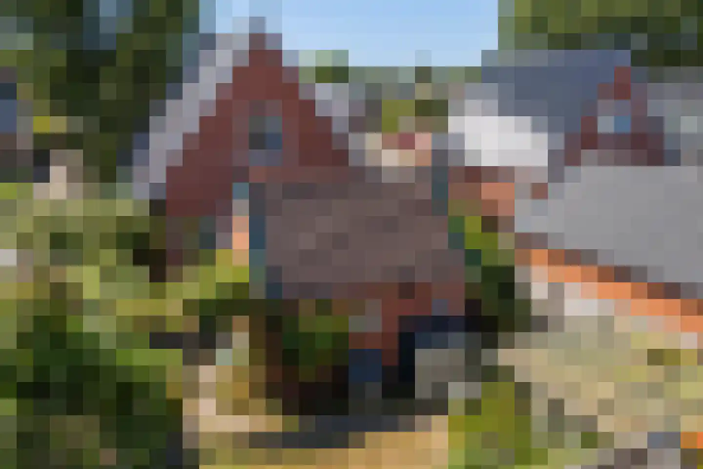 Nijewei 20 Feanwâlden thumbnail 4