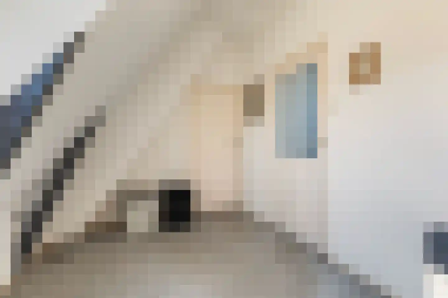 Nijewei 20 Feanwâlden thumbnail 40
