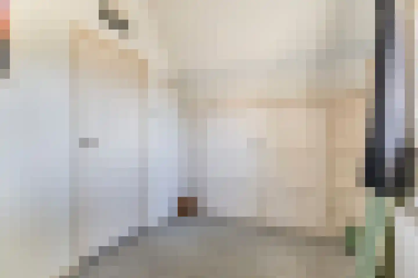 Nijewei 20 Feanwâlden thumbnail 45