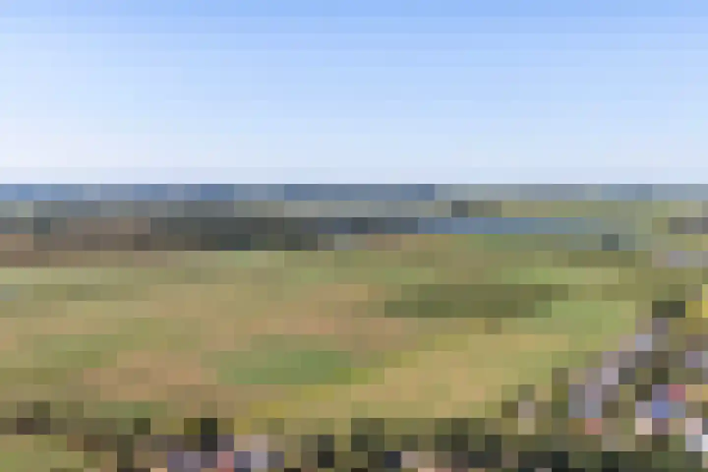 Nijewei 20 Feanwâlden thumbnail 49
