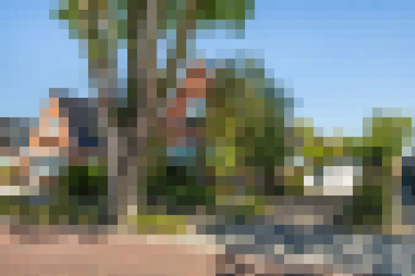Nijewei 20 Feanwâlden thumbnail 5