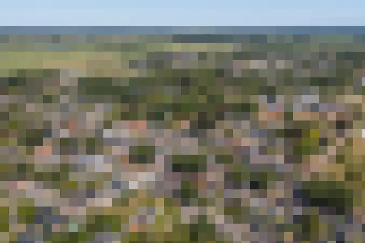 Nijewei 20 Feanwâlden thumbnail 51
