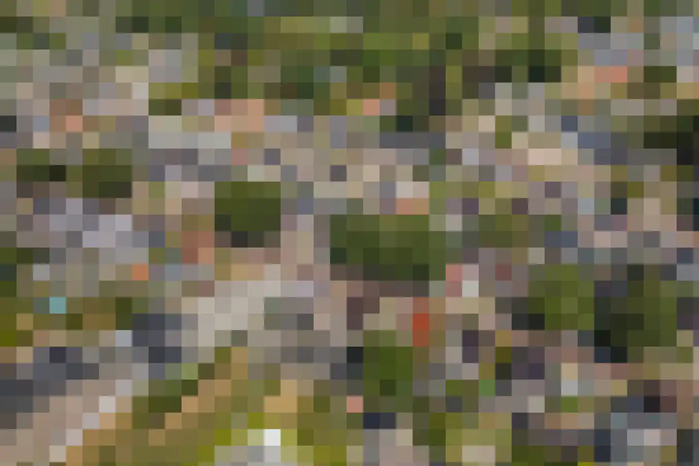Nijewei 20 Feanwâlden thumbnail 52