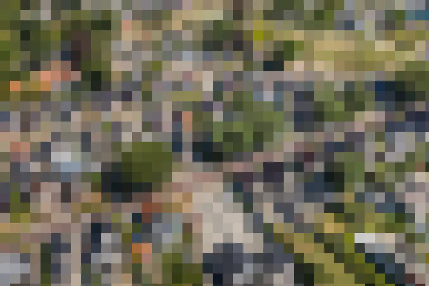 Nijewei 20 Feanwâlden thumbnail 53